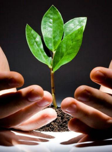 peruvian capital (1)